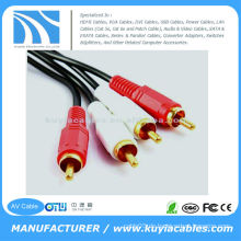 10FT (3M) 2 RCA to2 RCA AV Kabel